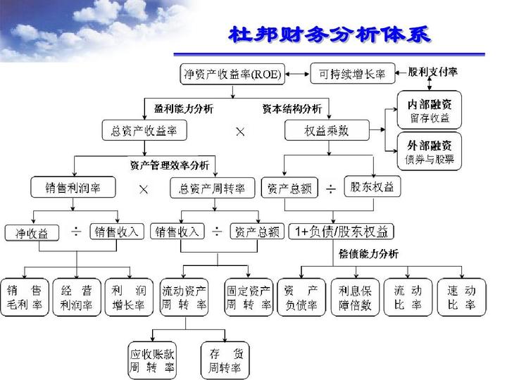 財務報表綜合分析(財務稽核報表)(圖4)