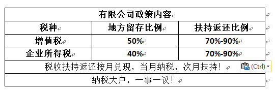 公司如何籌劃稅務(公司消費稅籌劃論文)(圖2)