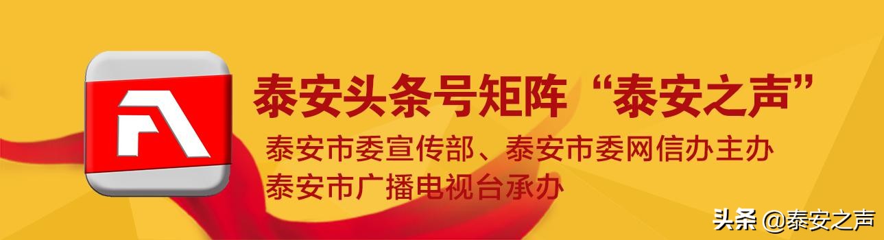 視頻|新泰市：百人稅務(wù)顧問團(tuán)駐企解困保發(fā)展