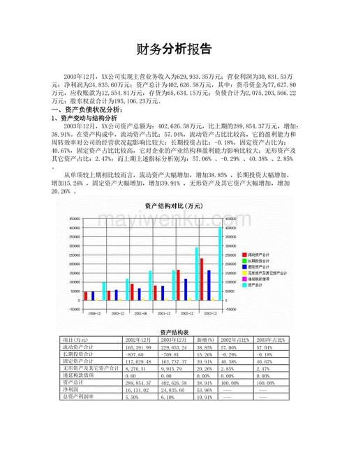 財(cái)務(wù)分析報(bào)告怎么寫