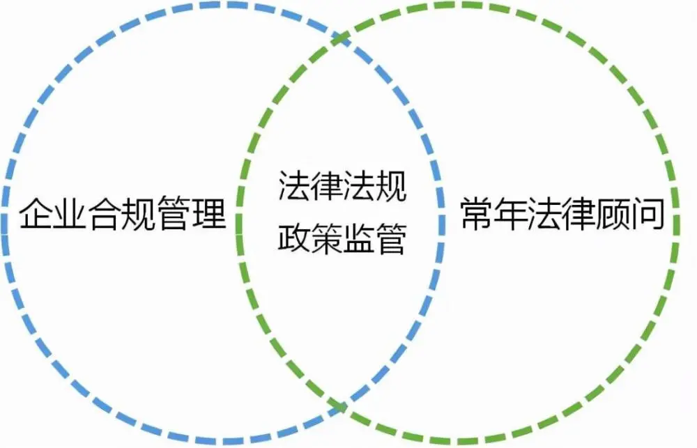 常年財務(wù)顧問業(yè)務(wù)流程包括下列(業(yè)務(wù)財務(wù)和共享財務(wù))(圖5)